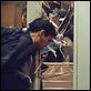 El beso del dragón : photo Chris Nahon, Jet Li