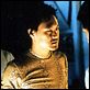 Belleza areca : photo Angelica Lee, Chang Chen, Lin Cheng-sheng
