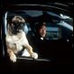 Men in Black II. Hombres de negro II : photo Will Smith