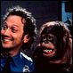 Estoy hecho un animal : photo Luke Greenfield, Rob Schneider