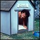 Estoy hecho un animal : photo Luke Greenfield, Rob Schneider