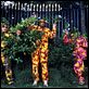 Ali G anda suelto : photo Mark Mylod, Sacha Baron Cohen