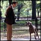 Sucedió en Manhattan : photo Ralph Fiennes