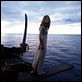 Piratas del Caribe: La maldición de la Perla Negra : photo Gore Verbinski, Keira Knightley