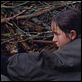 El tiempo del lobo : photo Michael Haneke