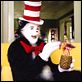 El gato : photo Mike Myers
