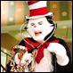 El gato : photo Mike Myers