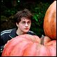 Harry Potter y el prisionero de Azkaban : photo Alfonso Cuarón, Daniel Radcliffe