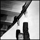 Vertigo (De entre los muertos ) : photo Alfred Hitchcock, James Stewart