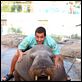 50 Primeras citas : photo Adam Sandler