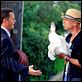 Más falsas apariencias : photo Bruce Willis, Matthew Perry