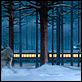 Polar Express : photo Robert Zemeckis