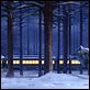 Polar Express : photo Robert Zemeckis