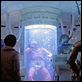 Star wars: Episodio IV - Una nueva esperanza (La guerra de las galaxias) : photo George Lucas