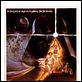 Star wars: Episodio IV - Una nueva esperanza (La guerra de las galaxias) : photo George Lucas