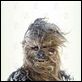 Star Wars : Episodio V - El imperio contraataca : photo George Lucas, Irvin Kershner, Peter Mayhew