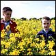 Millones : photo Danny Boyle