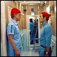 Life Aquatic : photo Owen Wilson, Wes Anderson, Willem Dafoe