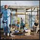 Life Aquatic : photo Bill Murray, Cate Blanchett, Wes Anderson