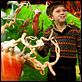 Charlie y la fábrica de chocolate : photo Freddie Highmore, Tim Burton