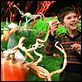 Charlie y la fábrica de chocolate : photo Freddie Highmore, Tim Burton