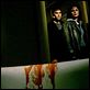 Boogeyman, la puerta del miedo : photo Barry Watson, Emily Deschanel, Stephen T. Kay