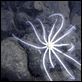 Misterios del océano : photo James Cameron, Steven Quale