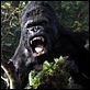 King Kong : photo Peter Jackson