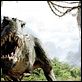 King Kong : photo Peter Jackson