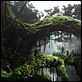 King Kong : photo Peter Jackson
