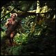 King Kong : photo Naomi Watts, Peter Jackson
