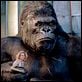 King Kong : photo Naomi Watts, Peter Jackson