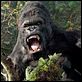 King Kong : photo Peter Jackson