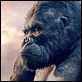 King Kong : photo Peter Jackson