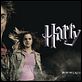 Harry Potter y el Cáliz de Fuego : poster Daniel Radcliffe, Emma Watson, Mike Newell, Rupert Grint