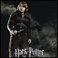 Harry Potter y el Cáliz de Fuego : poster Mike Newell, Rupert Grint