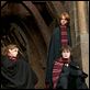 Harry Potter y el Cáliz de Fuego : photo Daniel Radcliffe, Emma Watson, Mike Newell, Rupert Grint