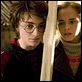 Harry Potter y el Cáliz de Fuego : photo Daniel Radcliffe, Emma Watson, Mike Newell