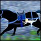 Azur y Asmar : photo Michel Ocelot