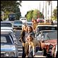 Los amos de Dogtown : photo Catherine Hardwicke, Emile Hirsch, John Robinson, Victor Rasuk