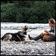 Colmillo blanco : photo Ethan Hawke, Randal Kleiser