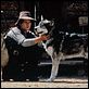 Colmillo blanco : photo Ethan Hawke, Randal Kleiser