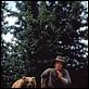Colmillo blanco : photo Ethan Hawke, Randal Kleiser