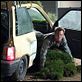 Dick y Jane: Ladrones de risa : photo Dean Parisot, Jim Carrey