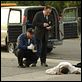 CSI: Las Vegas