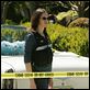 CSI: Las Vegas
