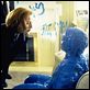 Expediente X : photo Gillian Anderson