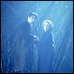 Expediente X : photo David Duchovny, Gillian Anderson