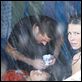 Perdidos : photo Daniel Dae Kim, Evangeline Lilly, Matthew Fox, Yunjin Kim