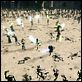 Star Wars. Episodio II. El ataque de los clones : photo George Lucas